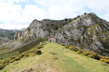 Casa Pastor