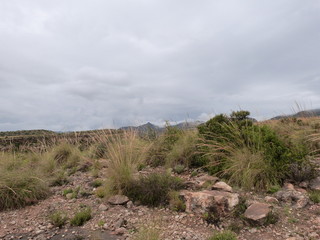 Sierra verde primavera Alicante 