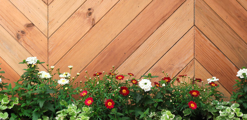 Flowering plants on the background of a wooden decorative fence.