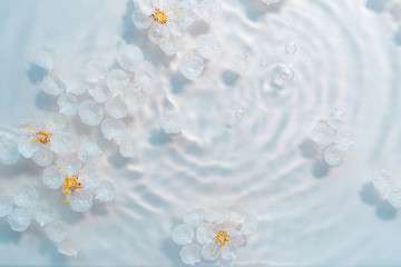 white flowers on the water with highlights and drops. the concept of care and cleansing