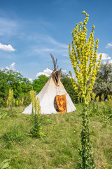 Single, solitary teepee in a forest. © Mazur Travel