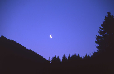 Camargue et Haute-Savoie