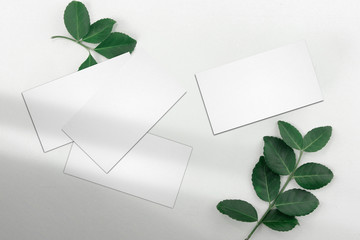 Clean minimal white business cards mockup with green leaves on white background.