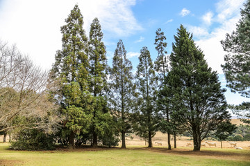 Midlands Meander in Kwa Zulu Natal