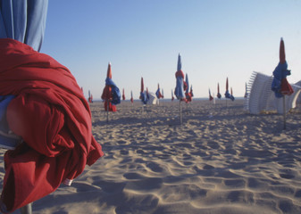 Camargue et Haute-Savoie