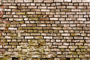 Fototapeta premium Texture of a brick wall with cracks and scratches which can be used as a background