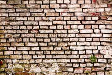 Texture of a brick wall with cracks and scratches which can be used as a background