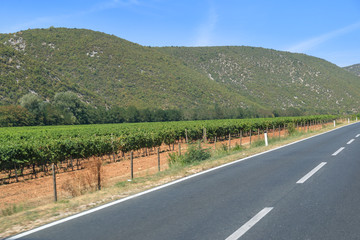 MOSTAR, BOSNIA HERZEGOVINA - 2017 AUGUST 16. Vineyards and landscape in Mostar.