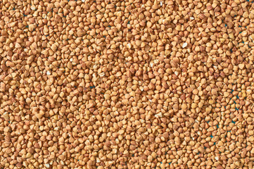Scattered grains of buckwheat. Background. Agricultural concept