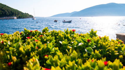 An idyllic picture of a seaside resort - August 6, 2019 / Adriatic Sea, Rose Village, Lustica peninsula, Kotor Bay, Montenegro, Europe.