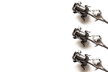 Cast-iron, forged roses on the right on a white background with an inscription for text. Luxury, modern, elegant, beautiful gift. You can use it as an envelope or wrapper.