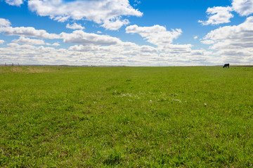 Summer landscape with green field and blue sky with clouds