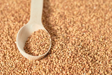 Wooden spoon full of grains of buckwheat. Agricultural concept