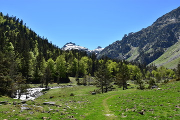 Fototapeta na wymiar Le plateau du cayan à Cauterets dans les Pyrénées