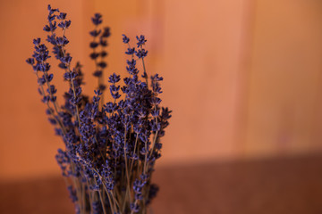 bouquets of lavender in a glass. lavender flowers. lavender. summer