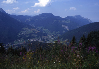 Camargue et Haute-Savoie