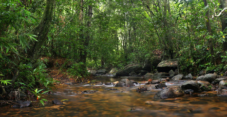 Obraz premium a Beautiful Landscape daytime light Long Exposure of Sri Lankan Lake Southern Province