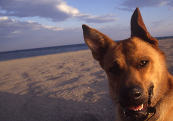 Camargue et Haute-Savoie