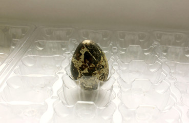 A quail egg. Spread out in an iatz cell. A close-up. The white background. Food product. Protein. Copy space.