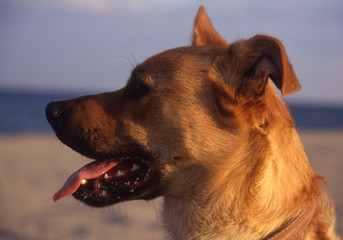 Camargue et Haute-Savoie