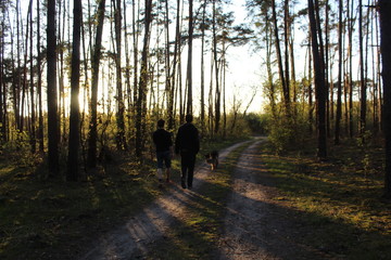 Zachód słońca  © ukasz