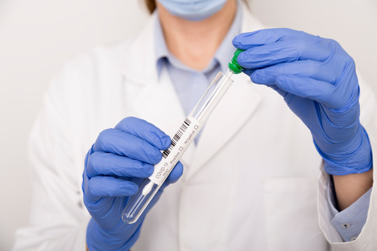 Covid Test In The Hands Of A Nurse With Blue Gloves 