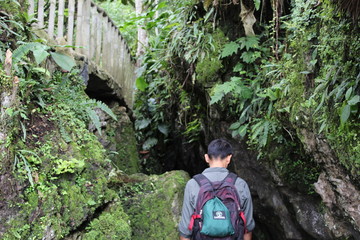 A men walking into the jungle and waterfalls