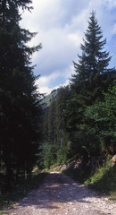 Camargue et Haute-Savoie