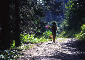 Camargue et Haute-Savoie