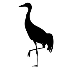 Image of a crane (stork, heron). Black silhouette of a bird on a white background.