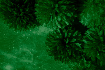 Beautiful abstract color black and green flowers on black background and dark graphic white flower frame and green leaves texture, green background, colorful graphics banner 