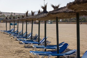 Wicker sunshades with blue hammocks lined up on empty beach in Caleta de Fuste. Nobody on sunny day at touristic destination in Fuerteventura island. Summer vacation, tourism crisis concepts