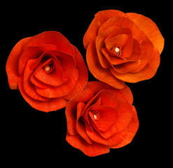 three artificial unfading red roses made of  wood  isolated on black background