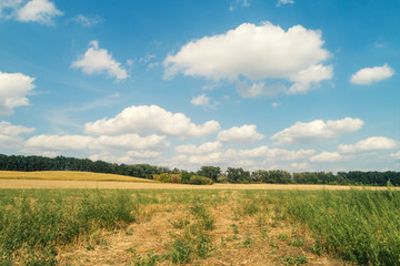 Summer rural landscape with a beautiful cloudy sky. Aerial view