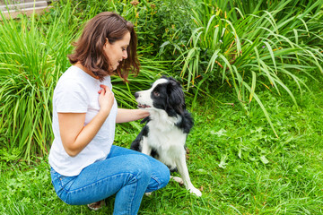 Naklejka na ściany i meble Smiling young attractive woman playing with cute puppy dog border collie in summer garden or city park outdoor background. Girl training trick with dog friend. Pet care and animals concept.