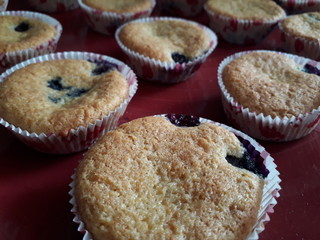 Muffin 2