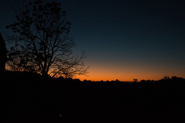 sunset in the forest