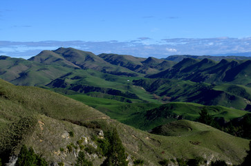 Fototapeta na wymiar Amazing green landscpae at Cape Kidnappers, New Zealand