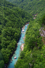 Fototapeta na wymiar Tara river canyon and national Park in Montenegro, Europe