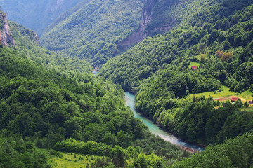 The Tara River Canyon, Montenegro, Europe, is 60 km long and the second largest in the world