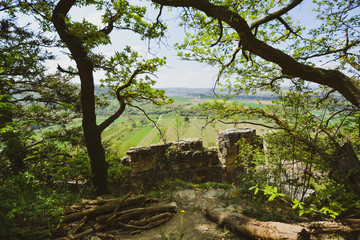 Vineyard overlooking the river Neckar, Landscape of Hessigheim, Germany