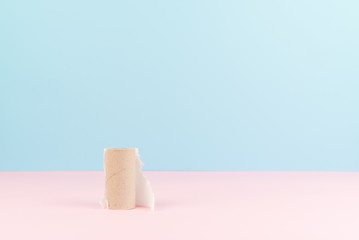 Conceptual image of finished toilet paper roll standing alone.