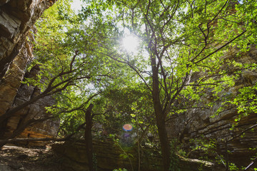 In the rocks - Felsengärten Hessigheim - South of Germany - behind the vignards