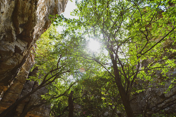 In the rocks - Felsengärten Hessigheim - South of Germany - behind the vignards