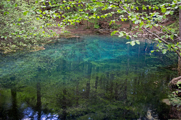 Reflections of the trees in blue lake in national park of Romania and a branch in the foreground.