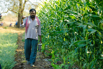 young indian farmer at corn field