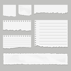 Fototapeta na wymiar Paper scraps isolated set. Vector graphic design illustration