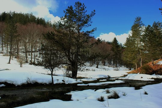 BELLEZZE DI CALABRIA 
La sila innevata .