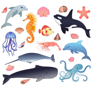 Animals of the underwater world. Big vector set of full-color sea inhabitants. Set of pictures with sperm whale, narwhal, killer whale, shrimp, fish, shells and many others in a cartoon style.