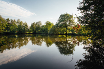 Fototapeta na wymiar reflets d'arbre et de nuages dans un lac